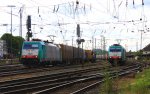 Die Cobra 2826 fhrt mit einem Containerzug von Aachen-West nach Belgien.Und im Hintergrund steht die Cobra 2818 mit eienem Kohlenleerzug bei Sonnenschein und Wolken am 8.7.2012.
Und das ist Mein 1300tes Bild bei Bahnbilder.