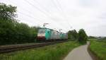 Zwei Cobra 2816 und 2834 kommen als Lokzug von Aachen-West nach Belgien und fahren  die Gemmenicher-Rampe hoch.
Aufgenommen an der Montzenroute am Gemmenicher-Weg. Bei Wolken am Mittag vom 15.5.2015.