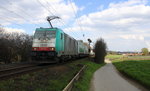 Die Cobra 2830  kommt die Gemmenicher-Rampe auf dem falschen Gleis hochgefahren aus Richtung Aachen-West mit einem LKW-Zug aus Italien nach Belgien und fährt in Richtung Montzen/Belgien. 
Aufgenommen an der Montzenroute am Gemmenicher-Weg.
Bei schönem Frühlingswetter am 9.4.2016. 