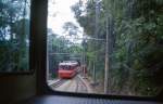 Corcovado-Bergbahn: Der Gegenzug passiert die Ausweichstelle.