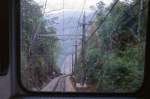Corcovado-Bergbahn: Die Trasse verluft durch den Tijuca-Nationalpark. Auf dem Foto sieht man die 2-phasige Oberleitung. Die Zahnstange ist als Leiterzahnstange mit in dem U-Profil eingesetzten Sprossen ausgefhrt (System Riggenbach). Die Spurweite betrgt ein Meter.