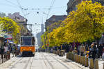 Sofia - Straßenbahn der Linie 10 Fahrtrichtung Westpark auf der Graf Ignatiev-Strasse an der Haltestelle am Sveti Sedmochislenitsi-Park.