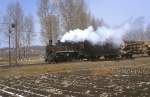 Nr.02  Waldbahn Yabuli  02.04.99