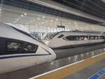 2024.11.14, CRH3C 3044 (no number in picture) and CRH6A 4508, GuangZhou South Station. The CRH6 series are the weirdo in CRH family, and certainly was the only one that will still viewed as  modern  in next decade for dominating short distance 200kph IC service (sorry CRH1, your job is mine now). Saying that, the CR220J might be a challenge in competition of slow service...
///
2024.11.14, CRH3C 3044 (keine Nummer im Bild) und CRH6A 4508, GuangZhou South Station. Die CRH6-Baureihe ist der Sonderling in der CRH-Familie und sicherlich die einzige, die auch im nächsten Jahrzehnt noch als „modern“ angesehen wird, weil sie den Kurzstrecken-IC-Verkehr mit 200 km/h dominiert (sorry CRH1, dein Job ist jetzt meiner). Davon abgesehen könnte der CR220J eine Herausforderung im Wettbewerb mit dem Langsamverkehr sein...