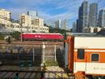 2024.10.13, HXD1D 0431, on GuangZhou---ShenZhen Railway next to ShenZhen Railway Museum. HXD1D was the Southern Star developed by CSR for new passenger locomotive design in 2010s, and it does not looks like the previous HXD1 series which has a very...well...practical cab shape. Instead HXD1D has fancy front and a red livery marking it's 200kph vmax capability. Shame that by the time it was introduced in 2012, CR already decided to focus on proper HSR track rated at least 250kph+, and all loco haul service went back to 160kph vmax. Nevertheless the 692 strong fleet provided a very good modern passenger locomotive to use.
This example of 0431 belongs to CR NanChang's NanChang Depot, which owns the railway in JiangXi and FuJian Prov, but due to nature of loco haul long distance service, this one wander all the way down to ShenZhen, deep in CR GuangZhou's region.
///
2024.10.13, HXD1D 0431, auf der GuangZhou---ShenZhen Railway neben dem ShenZhen Railway Museum. HXD1D war die Southern Star, die von CSR in den 2010er Jahren als neue Passagierlokomotive entwickelt wurde, und sie sieht nicht so aus wie die vorherige HXD1-Serie, die eine sehr...nun ja...praktische Führerstandsform hat. Stattdessen hat die HXD1D eine schicke Front und eine rote Lackierung, die auf ihre 200 km/h Höchstgeschwindigkeit hinweist. Schade, dass CR bei ihrer Einführung im Jahr 2012 bereits beschlossen hatte, sich auf echte HSR-Strecken mit einer Geschwindigkeit von mindestens 250 km/h zu konzentrieren, und alle Lokomotiven auf 160 km/h Vmax zurückgesetzt wurden. Nichtsdestotrotz stellte die 692 starke Flotte eine sehr gute moderne Passagierlokomotive zur Verfügung.
Dieses Exemplar der 0431 gehört zum NanChang-Depot der CR NanChang, der die Bahnstrecken in den Provinzen JiangXi und FuJian gehören, aber aufgrund der Natur des Lokomotivfernverkehrs wanderte diese Lok den ganzen Weg hinunter nach ShenZhen, tief in die Region der CR GuangZhou.