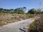 2024.11.17, abandoned Railway Crossing of GuiLin-HaiYang County Railway, on 龙门二路 (LongMen 2nd Road), from National Highway G357, 桂磨公路 (GuiMo