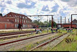 Während der einen Stunde Aufenthalt im Bahnhof Padborg st (DK) auf der Bahnstrecke Fredericia–Flensburg (KBS 65 (DSB)) war leider so gut wie nichts los. Daher widmete ich mich auch der Bahninfrastruktur:
Blick auf mehrere Stumpfgleise. Links daneben befindet sich ein Post-Gebäude.
Aufgenommen im Gegenlicht von Bahnsteig 2.
[3.8.2019 | 11:36 Uhr]