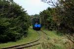 Hier entschwindet der kleine Zug der Museumsbahn Hanstholm, nachdem er Munitions- und Geschützbunker durchfahren hat, gerade in der üppigen Küstenvegetation und wird seine Rundfahrt