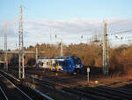 Mireo Plus B (563 038) der NEB fährt von Berlin Lichtenberg nach Werneuchen.

Berlin, der 24.01.2025 gegen 08.32 Uhr