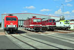 156 004-4 (252 004-7 | Lok 804) der Mitteldeutschen Eisenbahn GmbH (MEG), 143 005-7 (243 005-6) und 754 101-4 (130 101-9) des DB Museum Nürnberg, betreut durch die Traditionsgemeinschaft Bw Halle