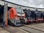 MEG 159 217-9 am 19.09.2021 beim Eisenbahnfest im Bw Arnstadt.