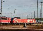 185 142-7  Edelweiss  am Morgen des 10.06.2014 abgestellt auf dem Bh.