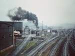 bw saalfeld in voller blte 1978im september aufgenommen von der sogenannten affenbrcke ,begehrter fotostandort