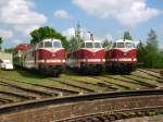Die MEG-Loks 201, 203 und 205 wurden am 24.05.08 fotogen auf dem Weimarer Eisenbahnfest prsentiert.