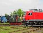 TEV ASF 2 + MEG 804 (156 004-4) im Bw Weimar; 29.05.2010