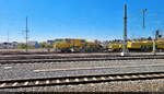 VDE 8 Komplexmaßnahme Halle Rosengarten–Angersdorf  ▶ Standort: Bahnhof Angersdorf    Universalschotterplaniermaschine Plasser & Theurer USP 2000 SWS steht zusammen mit Plasser &