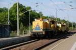 203 316 berfhrt am 14.05.09 eine Stopf- sowie eine Schotterprofiliermaschine durch Burgkemnitz Richtung Halle/Leipzig.