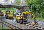 Von Ende April bis Anfang Mai 2019 fanden parallel zu den Maßnahmen zwischen Halle Südstadt und Angersdorf auch Gleisbauarbeiten am Hp Halle Zscherbener Straße auf der Bahnstrecke Merseburg–Halle-Nietleben (KBS 588) unter Vollsperrung statt.
Blick auf zwei Zweiwegebagger: Im Hintergrund Liebherr A 900 C ZW, davor Liebherr A 922 Rail (NVR-Nummern nicht bekannt) der Schweerbau GmbH & Co. KG.
[28.4.2019 | 13:20 Uhr]