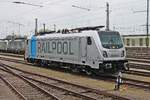 Portrait von Rpool/BLSC 187 003-9, als diese am Nachmittag 30.04.2019 zusammen mit Re 475 402 und Rpool/BLSC 187 008-8  Spitze seit einem Jahr - bls cargo  im nördlichen Vorfeld vom Badischen Bahnhof von Basel abgestellt war.