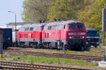 Lok 218 451 und 218 450 auf dem Bahnhof in Bergen auf Rügen.