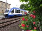 Lint des Harz Elbe Express am 25.05.2014 in Blankenburg (Harz)