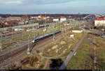Ein 1442 (Bombardier Talent 2) verlässt Dessau Hbf auf Gleis 3.