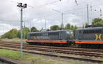 HECTORRAIL 162.006  Hauser  (91 80 6151 066-6 D-HRDE) pausierte am 11.10.2024 zusammen mit der 162.007  Beckert  (91 80 6151 134-4 D-HRDE) in Döbeln Hbf.