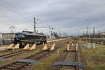 Am 14.02.2024 pausierte die EBS 241 353-2 in Dresden Hbf.