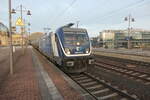 388 013 vor  ČD Cargo vor einem Kesselwagenzug in Dresden-Hauptbahnhof im November 2024