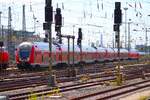 DB Regio Bombardier Twindexx 446 xxx und 446 xxx am 11.05.24 in Frankfurt am Main Hbf. Die Fotos wurden per Telezoom vom Bahnsteigende gemacht