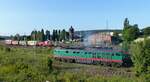 Triangula Ludmilla 241 008-2 ( 9280 1241 008-2 D-TRG ) beim warmlaufen in Gera am 31.8.2023