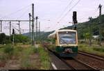 Überraschung: 650 032-4 (Stadler Regio-Shuttle RS1) der Eisenbahn-Bau- und Betriebsgesellschaft Pressnitztalbahn mbH (PRESS) als Tfzf, wahrscheinlich in Richtung Heimat, durchfährt den Bahnhof Großheringen auf Gleis 1.
[16.6.2018 | 8:49 Uhr]