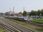 Neue Lint 54 im Bahnhof von Halberstadt am 05.09.2014