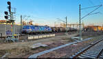 Kesselzug mit dem Albatros 152 137-6 (Siemens ES64F) kurz vor der Landung in der Zugbildungsanlage (ZBA) Halle (Saale), hier östlich des Bahnsteigs 12/13 in Halle (Saale)Hbf.

🧰 TFG Transfracht GmbH (DB Cargo)
🕓 14.2.2023 | 16:44 Uhr

(Selbstfreischaltung nach Verbesserung)