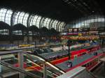 Blick auf einen  gut gefllten  Hbf in Hamburg.