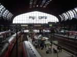 Der Hamburger Hbf in Groaufnahme! Ok, es ist nicht der gesamte Bahnhof zusehen, aber ich habe versucht so viel wie mglich darzustellen.