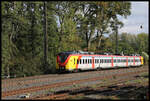 HLB ET 164 verläßt hier am 6.10.2024 um 15.30 Uhr den Bahnhof Kahl am Main in Richtung Hanau.