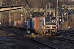 193 949  Sharky  mit dem KLV in Köln West am 02.02.2025