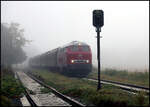 Einfahrt des Teutoexpress am 29.09.2024 um 10.32 Uhr in den Bahnhof Lienen.