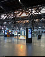 Leipzig Hbf: Impressionen eines Bahnknotens  Die Sonne entsendet ihre ersten Strahlen durch die eindrucksvolle Bahnsteigdach-Konstruktion.