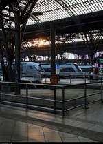 Leipzig Hbf: Impressionen eines Bahnknotens  Die Sonne entsendet ihre ersten Strahlen durch die eindrucksvolle Bahnsteigdach-Konstruktion.