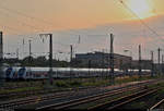 Morgenstimmung im Bft Leipzig-Volkmarsdorf (gehörig zu Leipzig Hbf) nahe der Brandenburger Brücke, in dem mehrere Intercity-2-Garnituren (IC2) abgestellt sind.