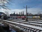 Ein Inselbahnhof - viele Gleise - vier Loks. Am 31.01.2015 waren in Lindau Hbf zusehen: Re 421 394-8, die kurz zuvor den EC 193, Zürich - München, nach Lindau brachte, 218 343-2 und 218 491-9, die den IC 118, Salzburg - Münster (Westfalen) übernommen haben und eine ER 20, die den ALX 29309 nach München zieht.