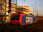 In der Abendsonne im Mannheimer Hbf.