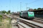 437023 war den ganzen Vormittag des 02.08.13 aufgerstet in Mllheim (Baden) abgestellt. Der Lokfhrer kam gerade von der im Hintergrund stehenen RB 26566, die mit 143 810-0 bespannt war und machte sie startklar zur Weiterfahrt.