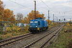 PRESS 204 036-6 (92 80 1202 586-4 D-PRESS) als Tfzf Richtung Weienfels, am 12.11.2023 in Naumburg (S) Hbf.