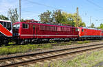 Mit ehemaliger DR-Nr. 250 195 der Fahrzeugwerke Karsdorf am 11.09.2023 in Naumburg.