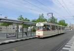 Straßenbahn VIP Potsdam, Gothawagen 177 ,  Potsdam-Hauptbahnhof am 15.6.2022 