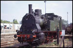 1000 Jahr Feier der Stadt Potsdam am 20.5.1993: Tenderlok 7001