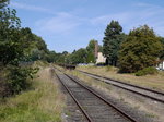 Verbliebene Gleise am Bahnhof Amelinghausen-Sottorf ex KBS 104 h /109 b / 162 ( Gebirgsbahn  Lüneburg - Soltau); gelegentlich verkehrt hier noch der  Heide-Express  der AVL bis Bispingen; 31.08.2016
